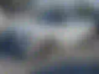 Vehicle Image- 2014 Audi A6