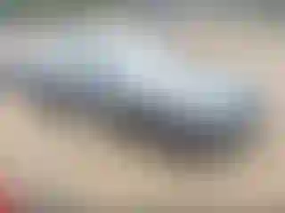 Vehicle Image- 2014 Audi A5