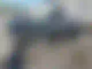 Vehicle Image- 2019 Audi A4