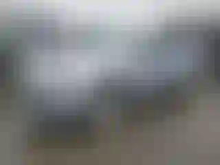 Vehicle Image- 2017 Audi A4