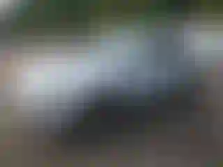 Vehicle Image- 2010 Audi A4