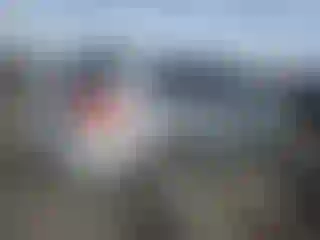 IMPORTOWO.pl