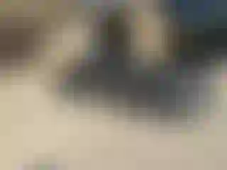 Vehicle Image- 2019 Audi A6