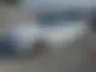 Vehicle Image- 2014 Audi A5