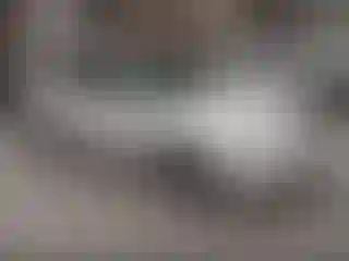 Vehicle Image- 2003 Audi A6