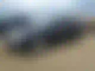 Vehicle Image- 2003 Audi A4