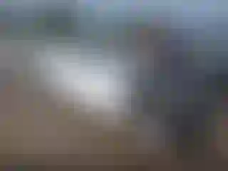 Vehicle Image- 2016 Audi A5