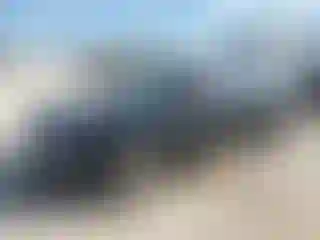 Vehicle Image- 2011 Audi A4