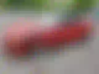 Vehicle Image- 2020 Audi A5