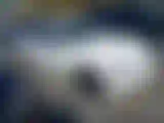 Vehicle Image- 2013 BMW Seria 3