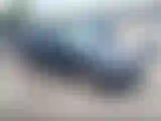 Vehicle Image- 2013 BMW Seria 3