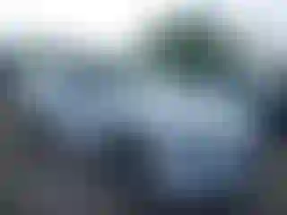 Vehicle Image- 2014 BMW Seria 3