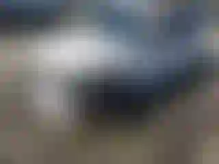 Vehicle Image- 2015 BMW Seria 3