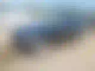 Vehicle Image- 2014 BMW Seria 3