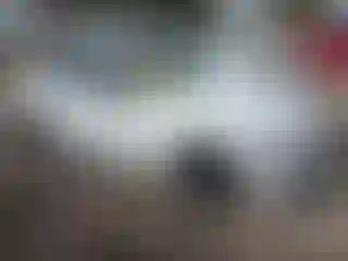 Vehicle Image- 2014 BMW Seria 3