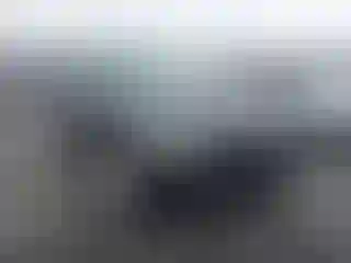 Vehicle Image- 2015 BMW Seria 3