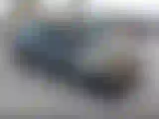 Vehicle Image- 2015 BMW Seria 3