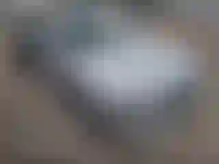 Vehicle Image- 2015 BMW Seria 3