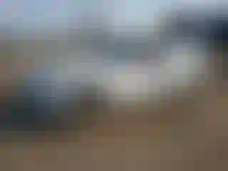 Vehicle Image- 2013 BMW Seria 3