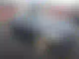 Vehicle Image- 2013 BMW Seria 3