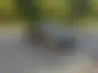 Vehicle Image- 2013 BMW Seria 3