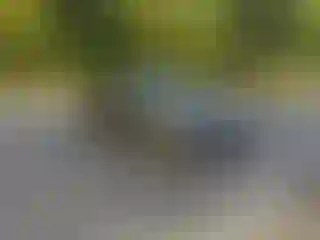 Vehicle Image- 2013 BMW Seria 3