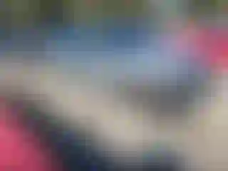 Vehicle Image- 2013 BMW Seria 3