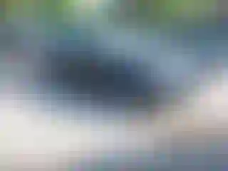 Vehicle Image- 2014 BMW Seria 3