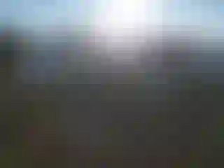 Vehicle Image- 2014 BMW Seria 3