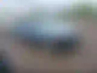 Vehicle Image- 2014 BMW Seria 3
