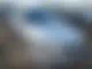 Vehicle Image- 2013 BMW Seria 3