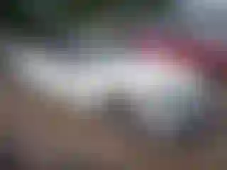 Vehicle Image- 2014 BMW Seria 3