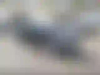 Vehicle Image- 2014 BMW Seria 5