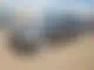 Vehicle Image- 2014 BMW Seria 5