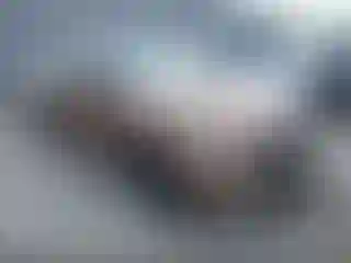Vehicle Image- 2019 BMW Seria 3