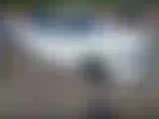 Vehicle Image- 2019 BMW Seria 3