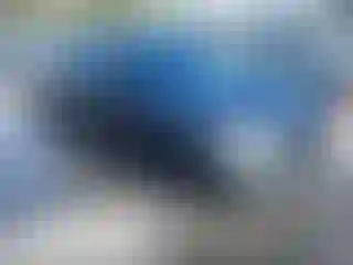 Vehicle Image- 2019 BMW Seria 7