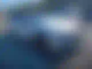 Vehicle Image- 2017 BMW Seria 7