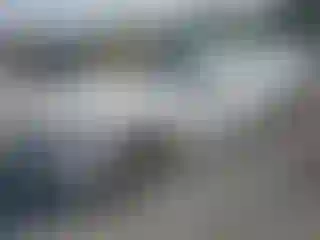 Vehicle Image- 2018 BMW Seria 7