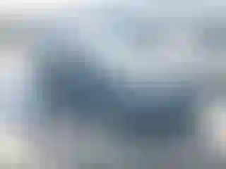 Vehicle Image- 2019 BMW Seria 7