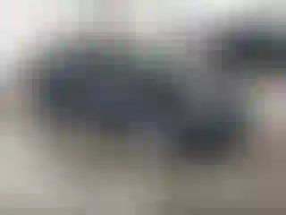 Vehicle Image- 2016 BMW Seria 7