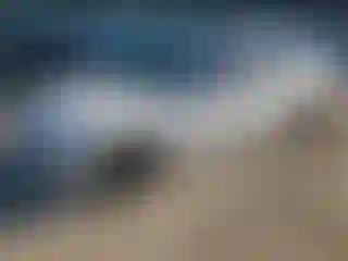 Vehicle Image- 2022 BMW Seria 7