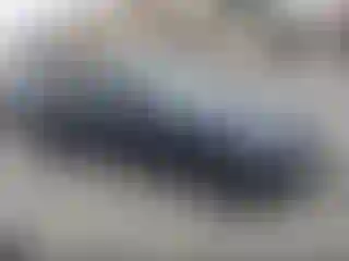 Vehicle Image- 2017 BMW Seria 3