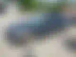 Vehicle Image- 2018 BMW Seria 3