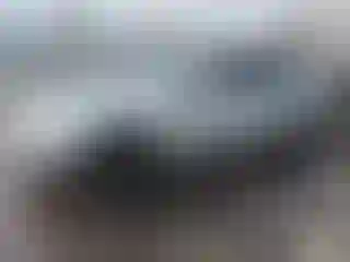 Vehicle Image- 2018 BMW Seria 3
