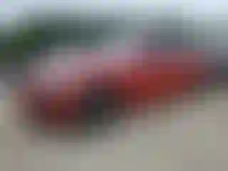 Vehicle Image- 2018 BMW Seria 3