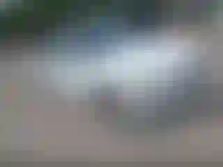 Vehicle Image- 2017 BMW Seria 3