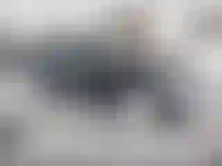 Vehicle Image- 2018 BMW Seria 3