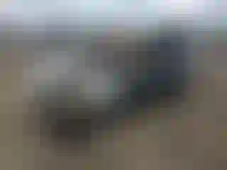 Vehicle Image- 2017 BMW Seria 3