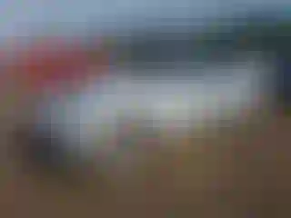 Vehicle Image- 2018 BMW Seria 3